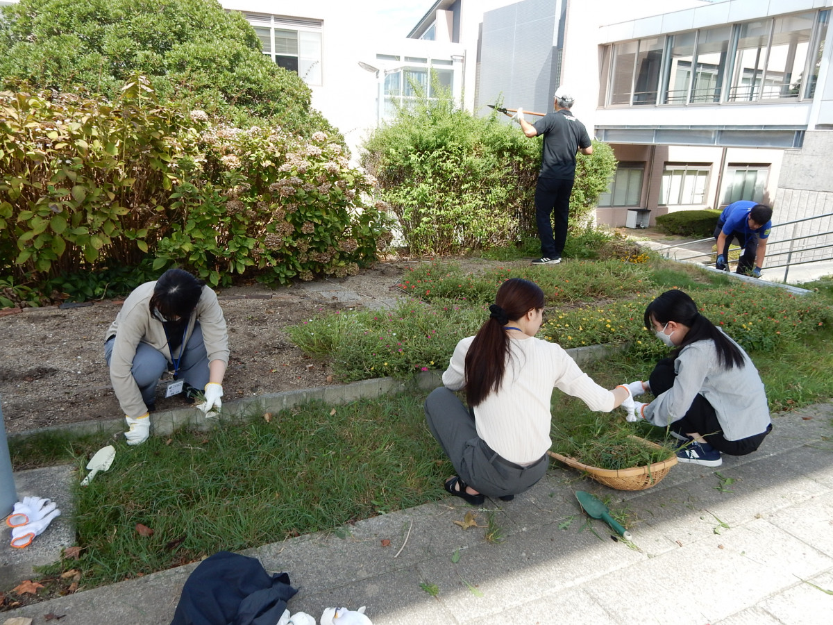 平岡都さん記念花壇「Garden of Hope」の手入れをしました。