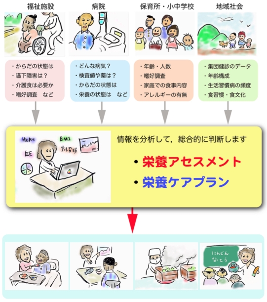 健康栄養学科の紹介