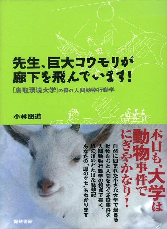 先生、巨大コウモリが廊下を飛んでいます！鳥取環境大学の森の人間動物行動学